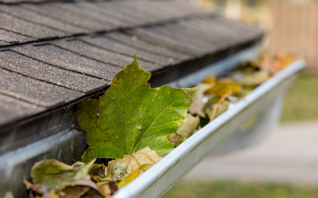 TIPS FOR GUTTER CLEANING