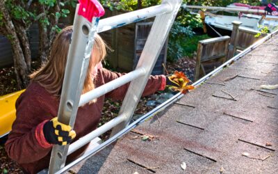 Gutter Cleaning Guide for Supermoms