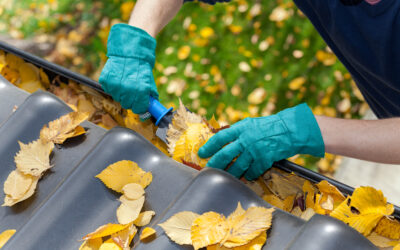 The Ultimate Hack for Easier Gutter Cleaning