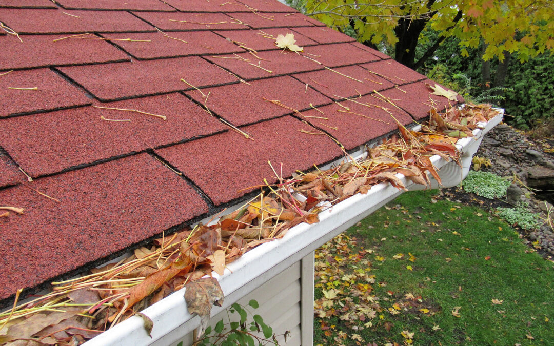8 Bad Consequences of Not Cleaning Your Gutters