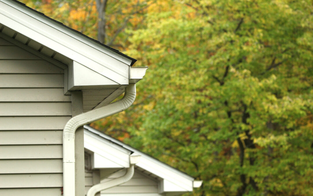 Gutter Maintenance Problems to Keep an Eye on During August