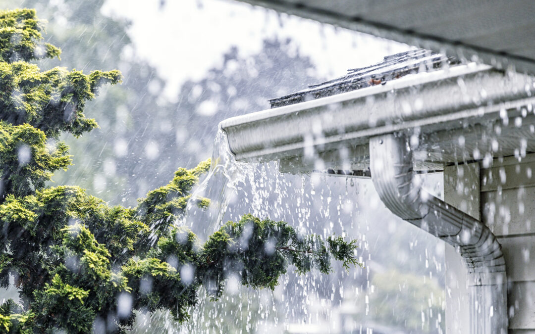 5 Signs of Clogged Gutters