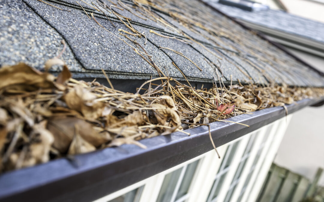 What to Look for When Buying Gutter Cleaning Tools