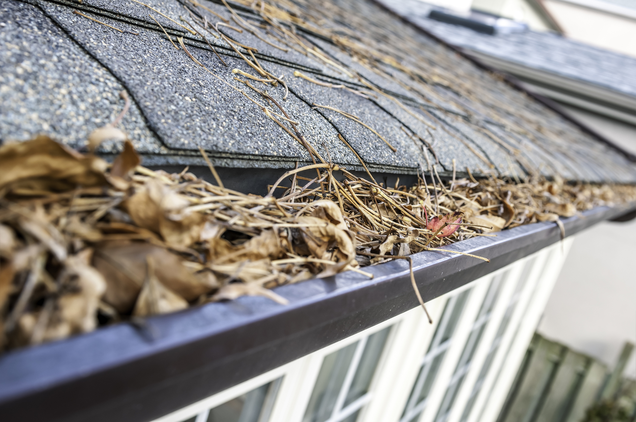 How to Choose a Gutter Cleaning Tool Gutter Sense