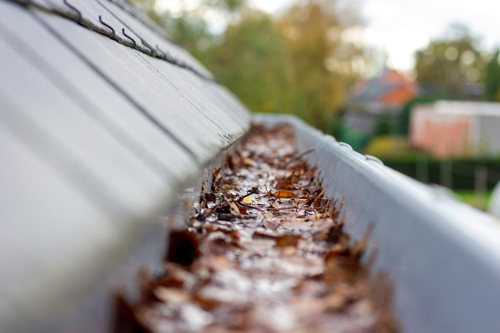 Green Gutter Cleaning: Sustainable Practices for Eco-Friendly Home Maintenance