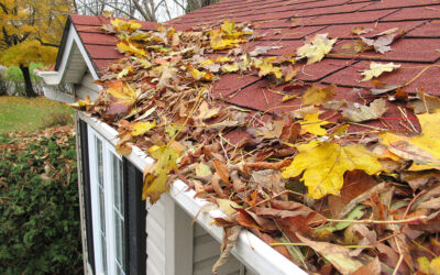Why Clean Gutters Matter For Home Insurance