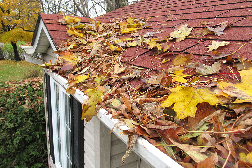 gutter-cleaning-is-important