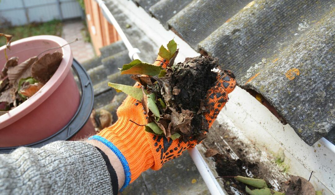 When to Clean Gutters: The Top Signs