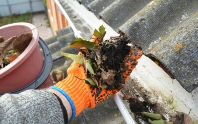 When to Clean Gutters: The Top Signs